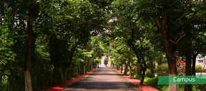 images of villas, apartments and flats in thrissur