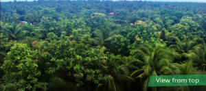 property for sale in thrissur