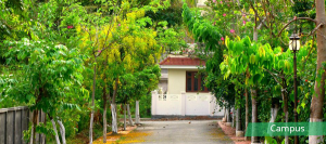 independent flats in tcr