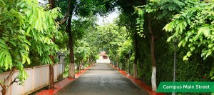 property in thrissur