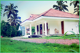 luxury villas & apartments